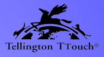 tteamlogo